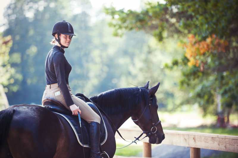 Reitunterricht, Dressurunterricht, klassische Reitkunst in Dietzenbach bei Frankfurt